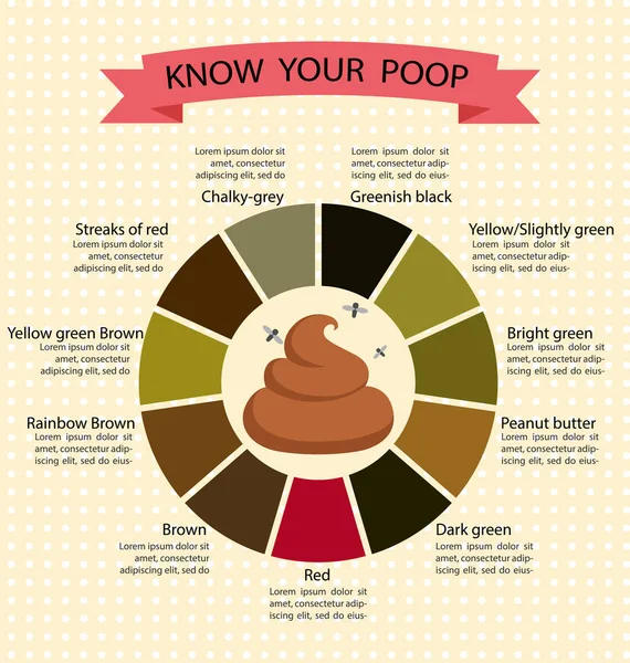 Poop sgabello cambia colore Grafico di colore e significato, Concep sano — Vettoriale Stock