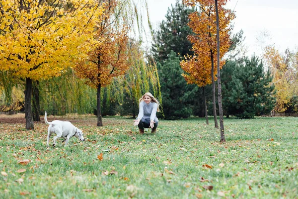 Happy dog with woman outdoors