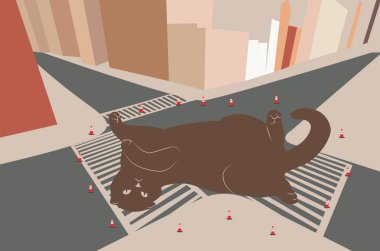 Yolda oynayan kocaman bir kedi.