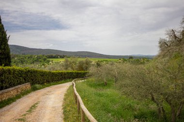 San Gimignano Toscana 'nın ortaçağ köyünde kırmızı kapıları olan antik kaldırımlı bir cadde.
