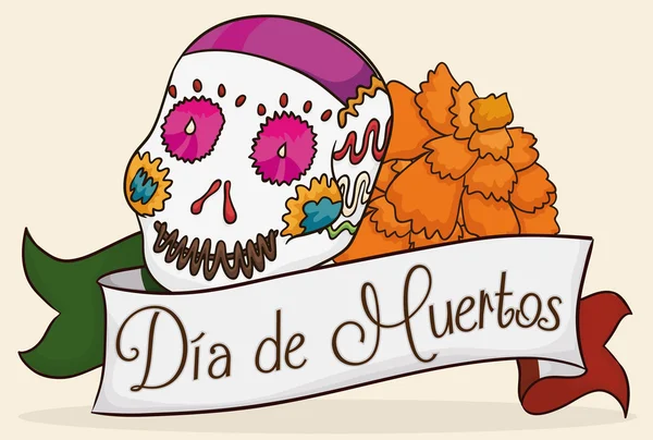 Şeker kafatası Marigold çiçek kutlama ile "Dia de Muertos", vektör çizim — Stok Vektör