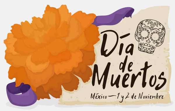 Flor de Cempasuchil con Rollo y Cinta Celebrando "Dia de Muertos", Ilustración Vectorial — Archivo Imágenes Vectoriales