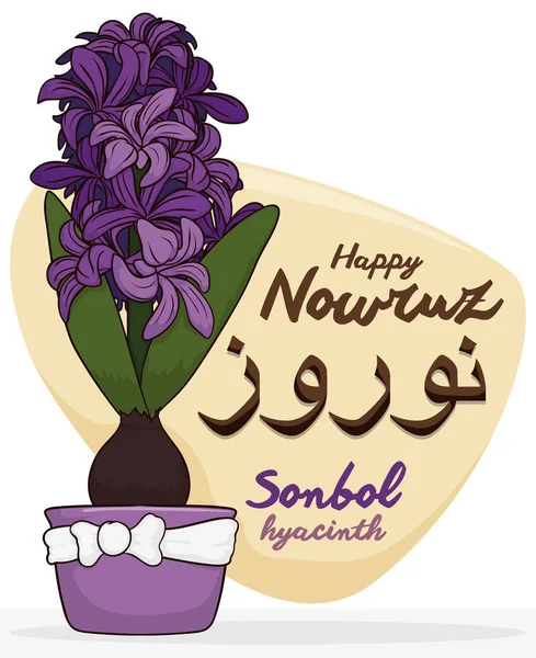 美丽的风信子植物花或松博尔为庆祝诺鲁孜，矢量图 — 图库矢量图片