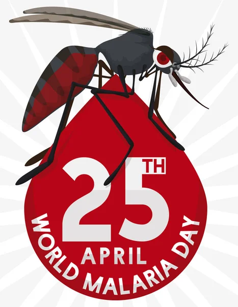 Mosquito nad krev Drop Design pro Světový den malárie, vektorové ilustrace — Stockový vektor