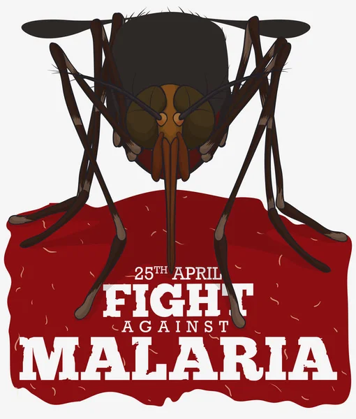 Vorderseite der Mücke über rotes Schild für Malariatag, Vektorillustration — Stockvektor
