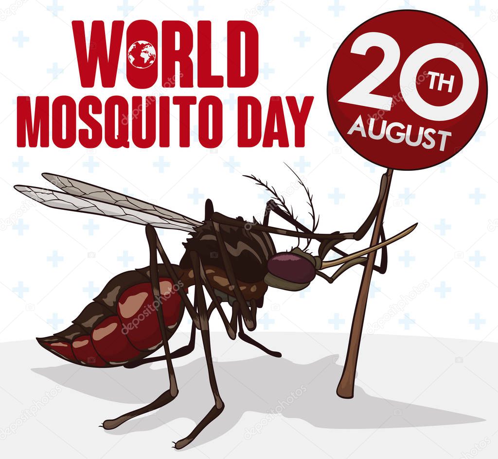 Mosquito Holding a Sign with Date for World Mosquito Day, Vector Illustration