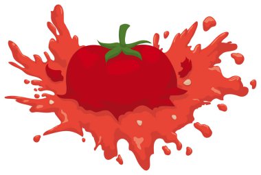 Isolated Smashed Juicy Tomato with some Seeds around it, Vector Illustration clipart