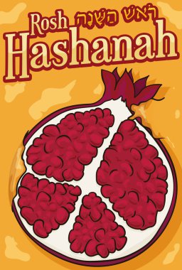 Yahudi yeni yılı kutlama için bal batırılmış nar dilimlenmiş, illüstrasyon vektör