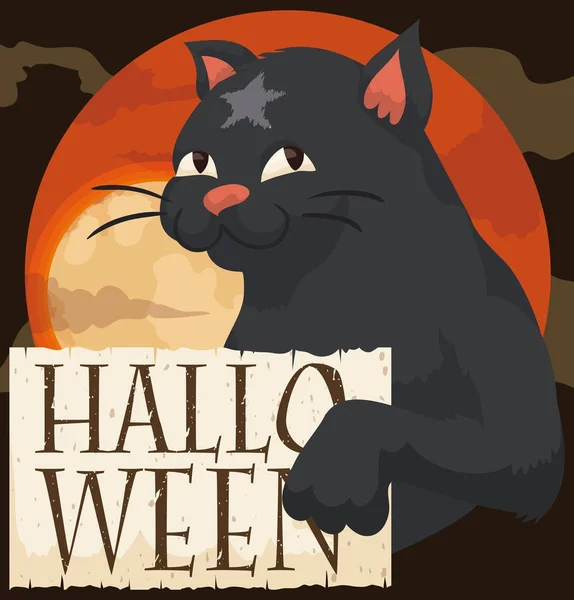 Gatto nero che tiene una pergamena in una notte di Halloween, illustrazione vettoriale — Vettoriale Stock