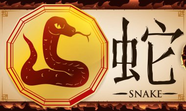 Scroll with Medal with Chinese Zodiac Snake over Fire Background, Vector Illustration clipart