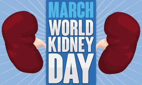 Par af sunde nyrer fremme World Kidney Day i marts, vektor illustration – Stock-vektor