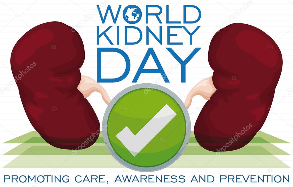 Kidneys with Good Health Ready to Commemorate World Kidney Day, Vector Illustration