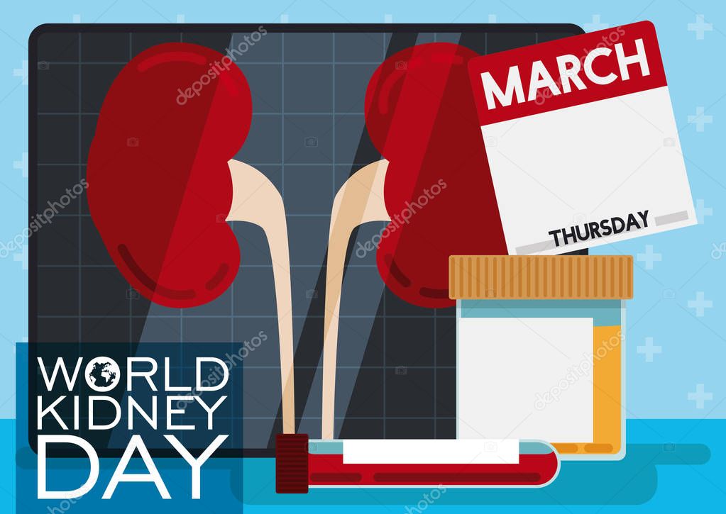 Medical Tests for Renal Health in World Kidney Day, Vector Illustration