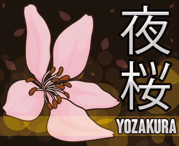 Kirschblüte in der Nacht Feier von Hanami oder Yozakura, Vektorillustration — Stockvektor