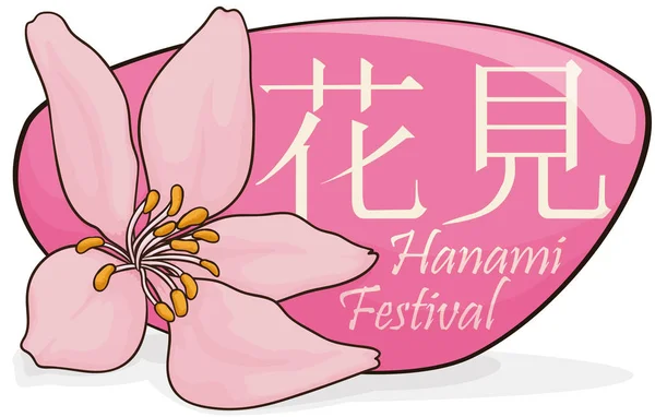 Schöne Kirsche blühte über Schild für Hanami-Fest, Vektorillustration — Stockvektor