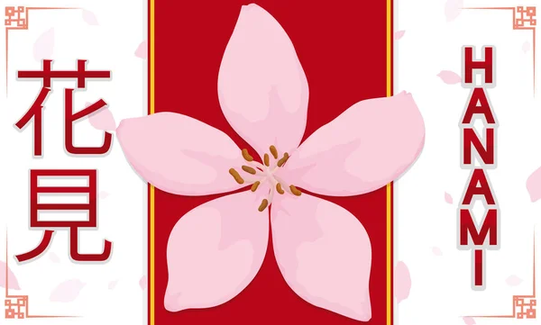 Kirschblüte über Etikett und Blütendusche für Hanami-Event, Vektorillustration — Stockvektor