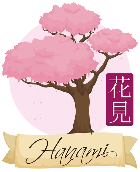 Schöner blühender Kirschbaum mit Schleife für Hanami-Veranstaltung, Vektorillustration — Stockvektor