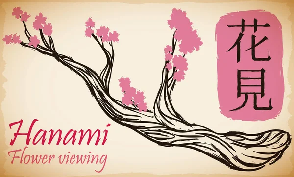 Handgezeichneter Kirschzweig mit Blumen für Hanami-Fest, Vektorillustration — Stockvektor