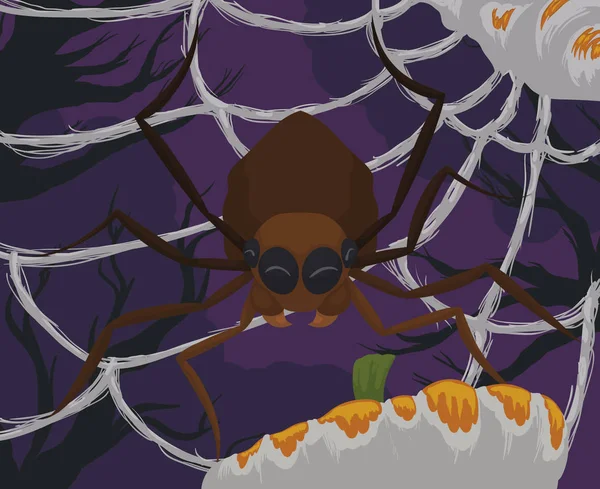 Cute Spider Emballage de citrouilles dans sa toile d'araignée pendant la célébration d'Halloween, Illustration vectorielle — Image vectorielle