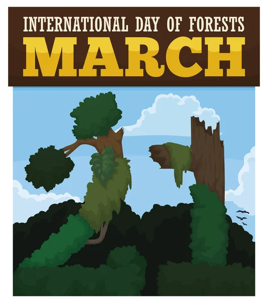 有美丽自然景观的松叶日历 有云彩和高大的树 树干和植被 提醒大家三月份国际森林日的庆祝活动 — 图库矢量图片