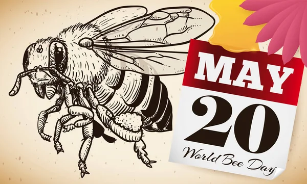 Реалістичні Бджоли Руках Малюють Стиль Сувоєм Календарем Вільними Листками Краплями — стоковий вектор