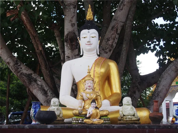 Bodhi-fa alatt ülve Buddha szobor — Stock Fotó