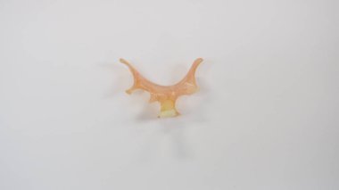 Beyaz arka plan üzerinde çıkarılabilir kısmi takma diş