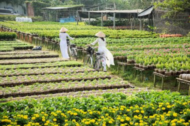 Ao Dai (geleneksel Vietnam giyim) üniforma Sa ara, Dong Thap, Vietnam bahçesinde iki okul kız. Sa Aralık Mekong Deltası'nda en büyük çiçek stokları biridir.
