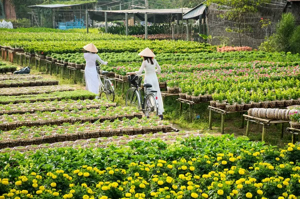 Dos niñas de la escuela con uniforme Ao Dai (ropa tradicional vietnamita) en un jardín en Sa Dec, Dong Thap, Vietnam. Sa Dec es una de las mayores reservas de flores en el Delta del Mekong . — Foto de Stock