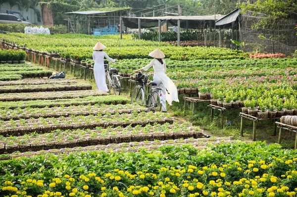 Dos niñas de la escuela con uniforme Ao Dai (ropa tradicional vietnamita) en un jardín en Sa Dec, Dong Thap, Vietnam. Sa Dec es una de las mayores reservas de flores en el Delta del Mekong . — Foto de Stock