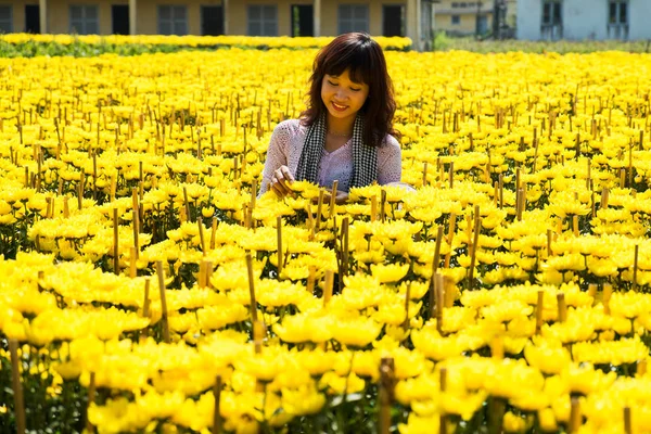Bahçıvan Sa ara, Dong Thap, Vietnam onun bahçesinde çiçekler için umurunda değil. Sadec (Sa Aralık) birçok ay yeni yıl (Tet tatil için çiçek yer üründür)
