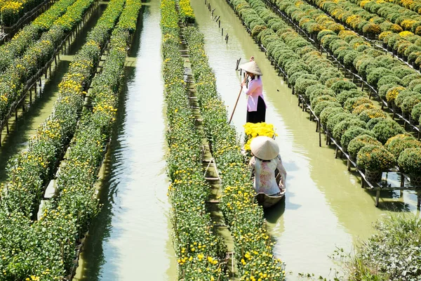 İki Bayan geleneksel elbise ile bir tekne yüzen çiçek alan Sa ara, Dong Thap, Vietnam bulunmaktadır. Sadec (Sa Aralık) en büyük çiçek stokları Mekong Deltası'nda biridir.