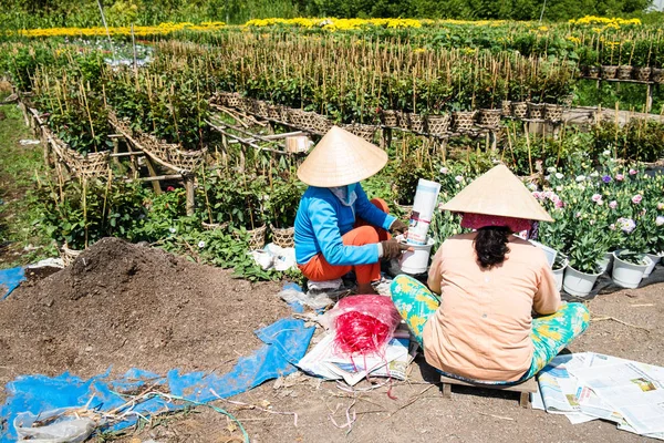 Gardeners pack flowers in their garden in Sa Dec, Dong Thap, Vietnam. Sadec (Sa Dec) is one of the biggest flower stocks in Mekong Delta. — Stock Photo, Image