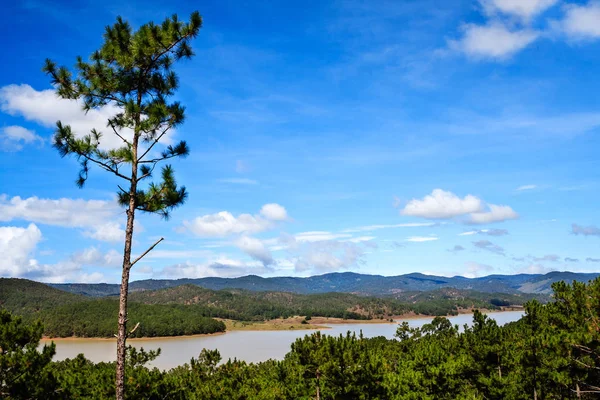 Valle Dorado en Dalat, provincia de Lam Dong, Vietnam — Foto de Stock