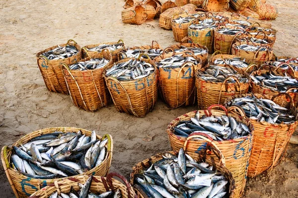 Geleneksel Balık pazarı sahilde uzun Hai, Vung Tau, Vietnam. Bu Pazar sadece sabahın erken saatlerinde olur.