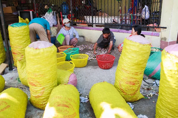 Ninh Thuan Vietnam Feb 2014 People Packing Vietnamese Eggplant Vietnamese — Stock Photo, Image