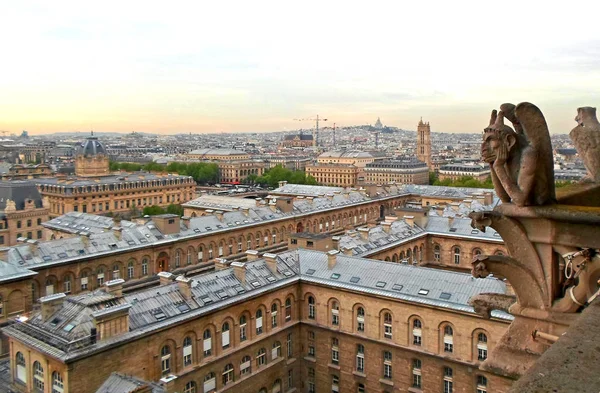 La vista desde la torre de Notre Dame de Paris — Foto de Stock