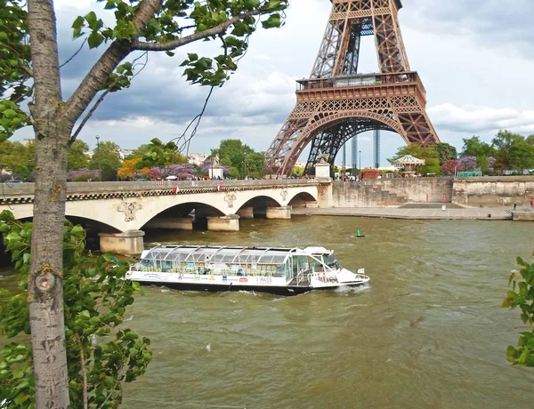 Řeku Seinu a na Eiffelovu věž — Stock fotografie