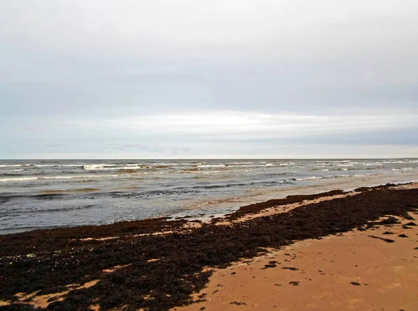 Costa do Mar Báltico no inverno — Fotografia de Stock