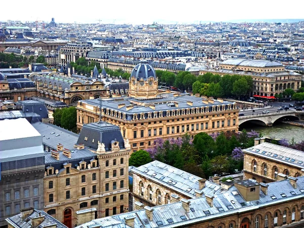 Iew do telhado da Catedral de Notre Dame — Fotografia de Stock