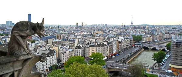 Pohled z střešní Notre Dame — Stock fotografie
