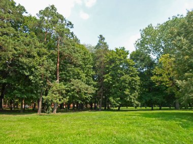 Güzel yaz günü Park