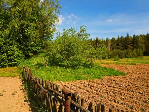 Stary drewniany płot w kraju — Zdjęcie stockowe