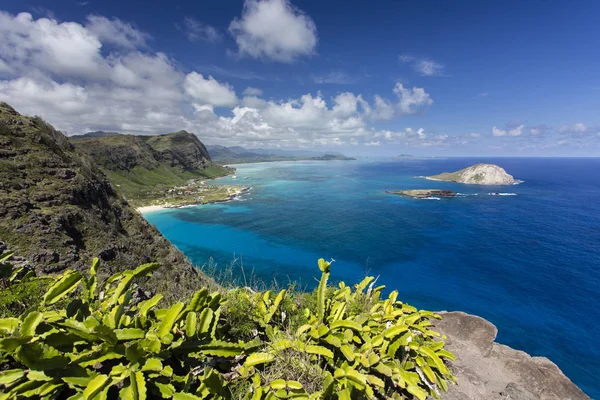 Mirador del Punto Makapu 'u, O' ahu —  Fotos de Stock