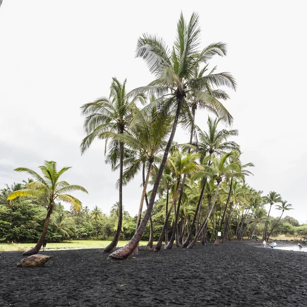 Punaluu playa de arena negra, Hawaii —  Fotos de Stock