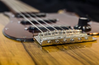 Özel elektro gitar