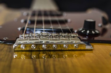Özel elektro gitar