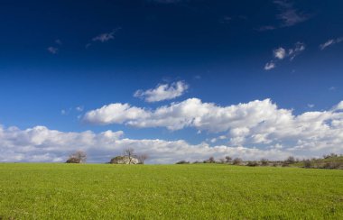 Arpa alan ve bulutlar