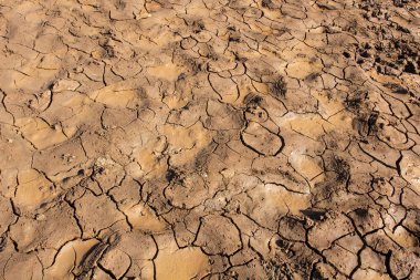 Su sıkıntısı nedeniyle Kuru toprak