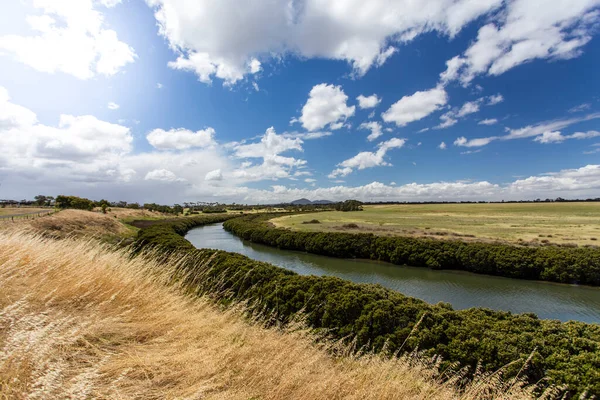 Vita Mangroveträsk Längs Hovells Creek Avalon Australien Med Gräsmark Förgrunden Stockbild